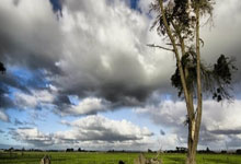 巴拉圭vs阿根廷，谁能在这场南美区世预赛中占得先机？